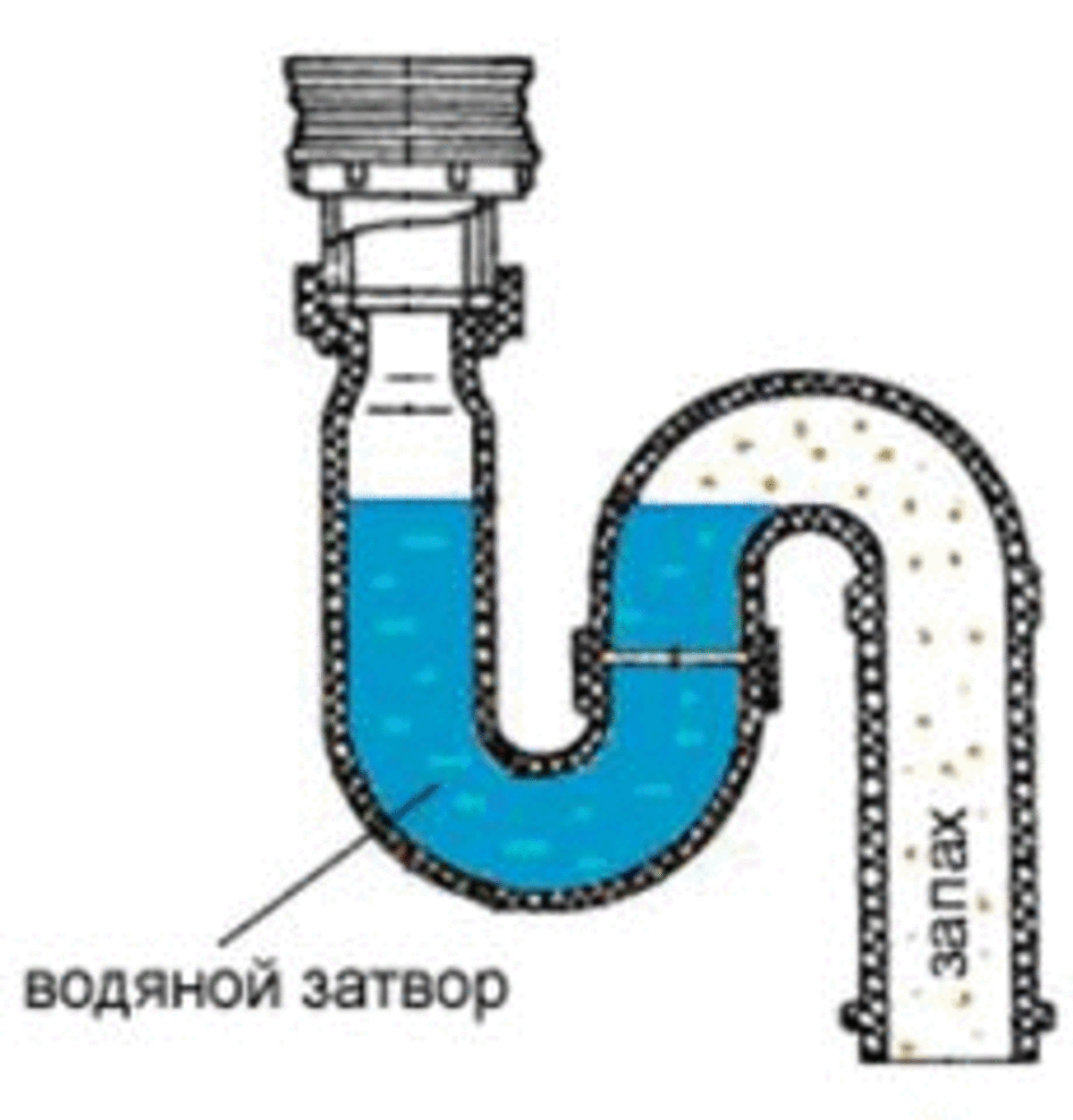 Гидрозатвор для канализации: назначение, разновидности и изготовление своими руками